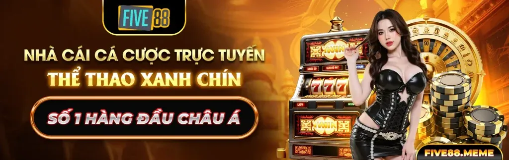 Hình ảnh chính về cờ bạc có trách nhiệm tại Haywin